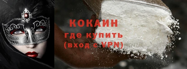 дживик Новозыбков