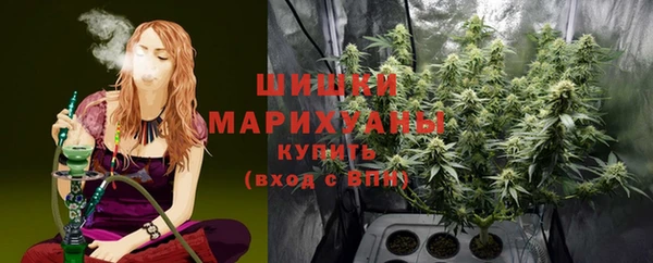 дживик Новозыбков