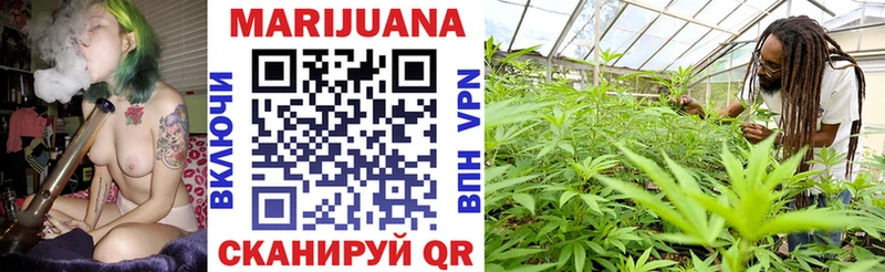 купить закладку Новочеркасск МЕГА ССЫЛКА Бошки марихуана SATIVA & INDICA